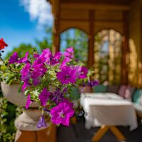 bildet viser blomst foran balkongen hos negarden