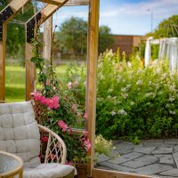 bildet viser sommerstemning ute hos negarden